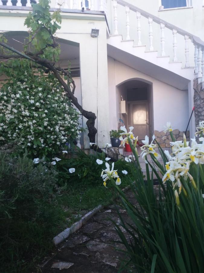 Olivera Apartments Pula Dış mekan fotoğraf
